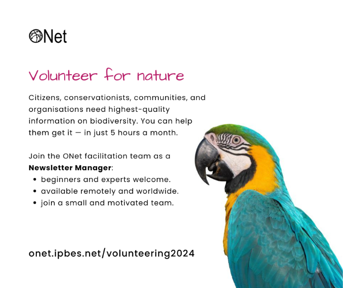 Advertisement for a volunteer newsletter manager: see the body text for details