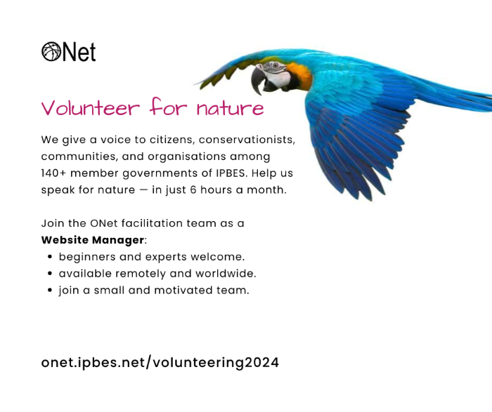 Advertisement for a volunteer website manager: see the body text for details