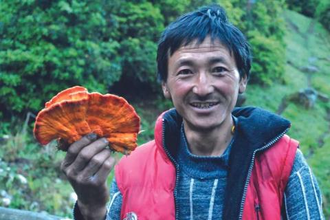 Man holding a mushroom