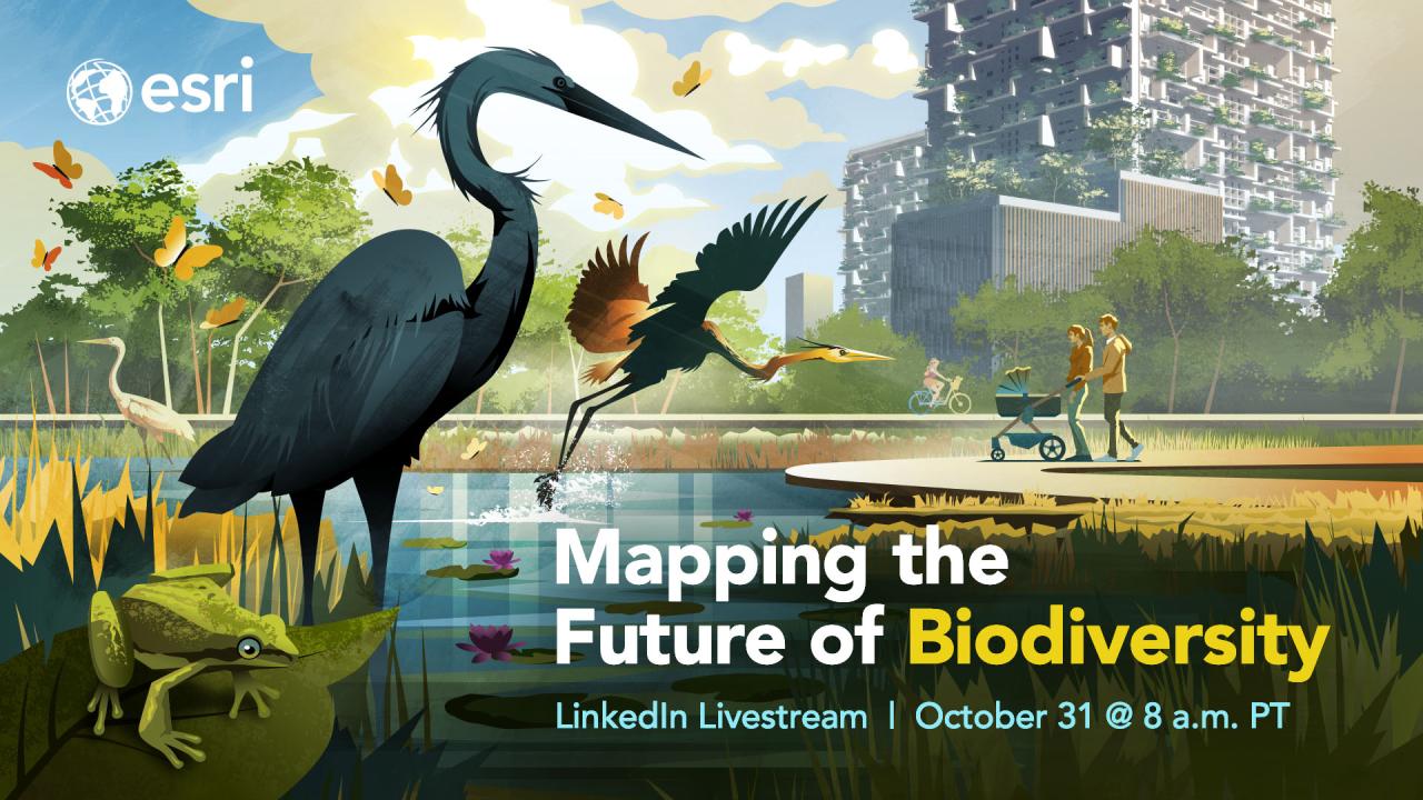 Livestream promotion image