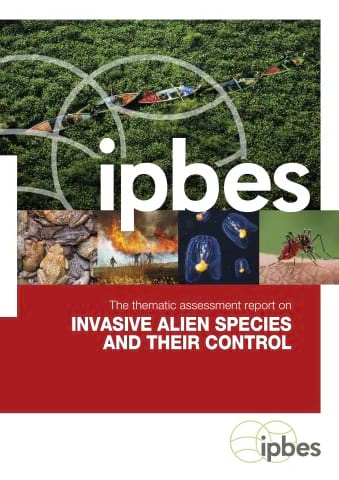 IAS report cover