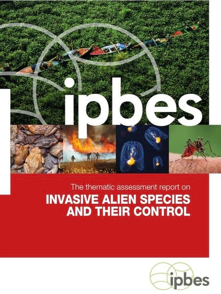 #InvasiveAlienSpecies Report cover