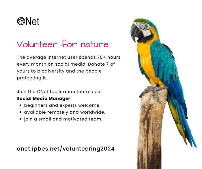 Advertisement for a volunteer social media manager: see the body text for details