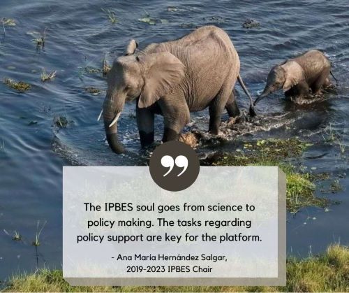 Quote by the former IPBES Chair, Ana María Hernández Salgar: "The IPBES soul goes from science to policy making. The tasks regarding policy support are key for the platform."