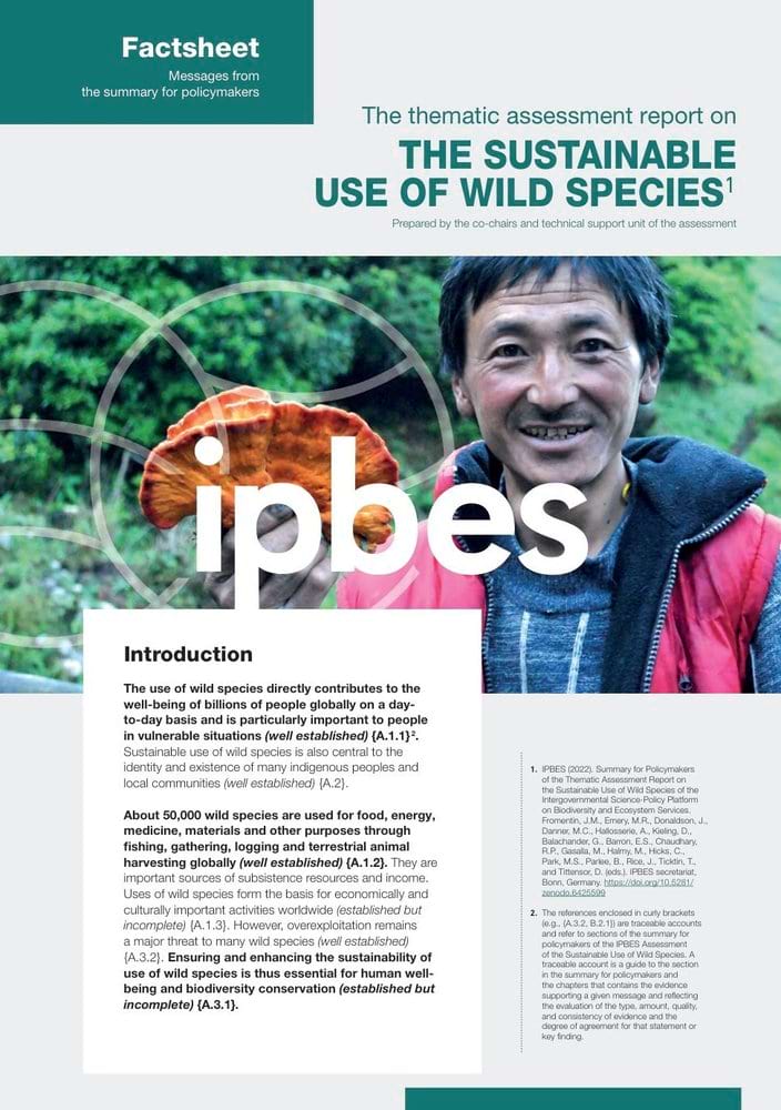 Image of the first page of the factsheet on the sustainable use of wild species