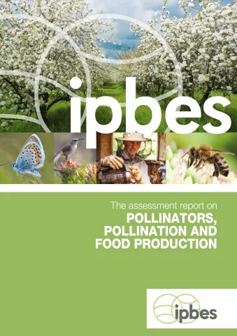 Cover of the pollination assessment