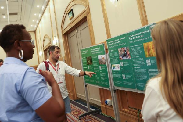 Participants in IPBES 11 Stakeholder Day discuss the poster series on communities of practice engaging with IPBES