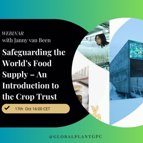 Advertisement for a webinar on the Crop Trust on 17 October 2024