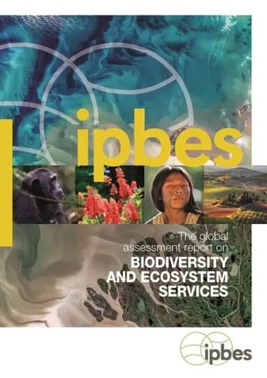Cover of the IPBES Global Assessment