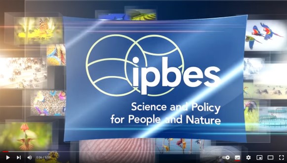 Introduction to IPBES on YouTube
