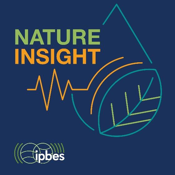 Nature Insight Podcast