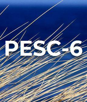 PESC 6 capture