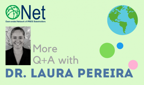 LauraPereira_Q&A