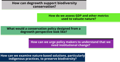 Pereira_video clips_Degrowth