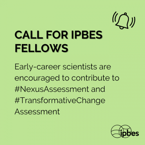 call for IPBES fellows