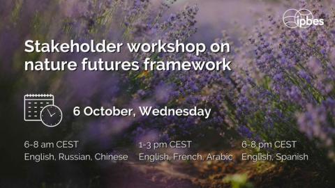 IPBESworkshop_nature futures framework