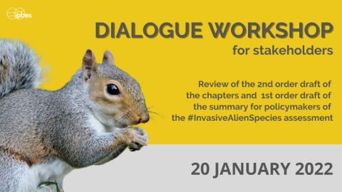 DialogueWorkshop_InvasiveAlienSpecies