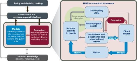 IPBES Webinar On The Biodiversity And Ecosystem Services Scenarios ...