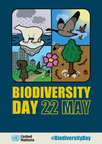 Biodiversity Day 22 May