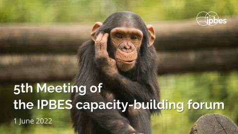 5th Meeting of the IPBES capacity-building forum