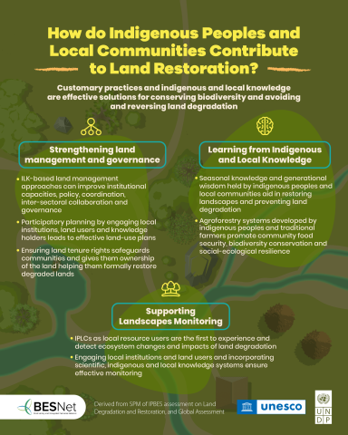 How do indigenous people and local communities contribute to land restoration?