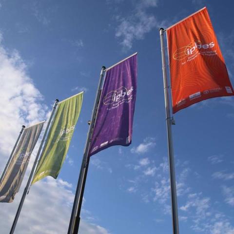 IPBES flags outside the IPBES 10 Plenary