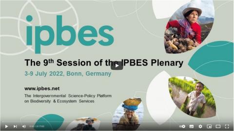 Background image IPBES 9