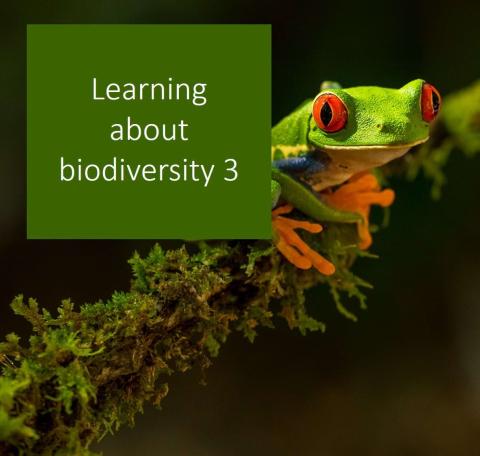 Advert for e-learning on biodiversity, with a frog