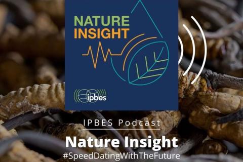IPBES Nature Insight podcast