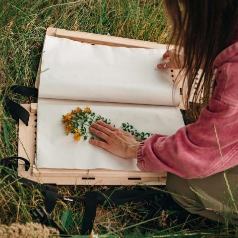 Woman working with a plant press in the field