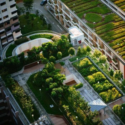 Urban greening