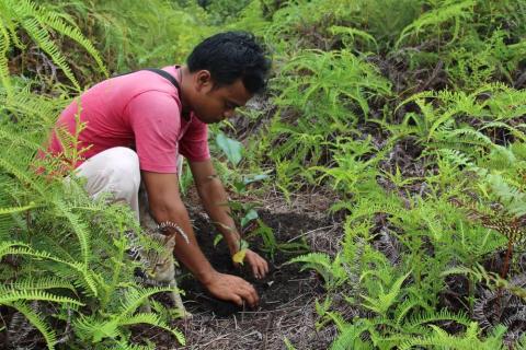 Pesalat Reforestation Project