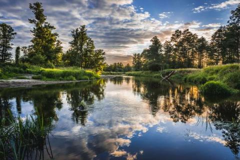 View towards the horizon along a river lined by meadows and forest at sunset.