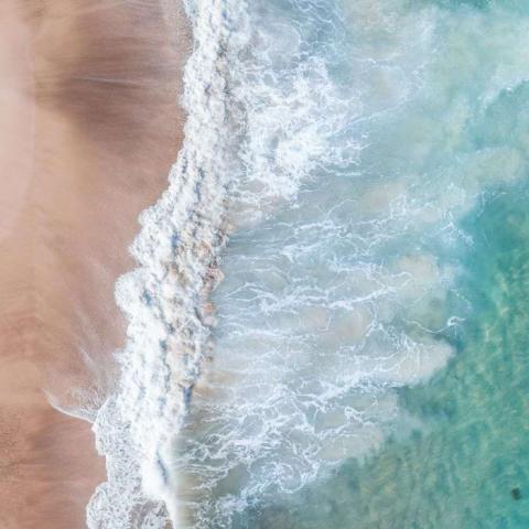 Sand dunes meeting the ocean