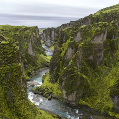 Fjaðrárgljúfur, Iceland