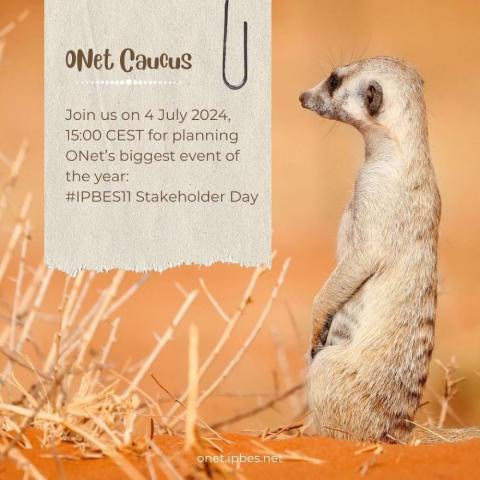 Meerkat in the Kalahari Desert looking at an event advert: see the body text for details