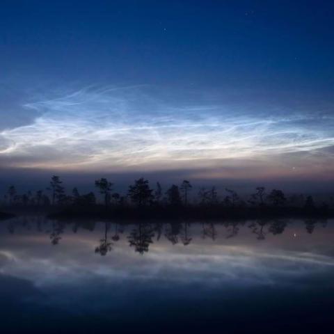 Dark trees lining a peat bog under lit clouds against a night sky