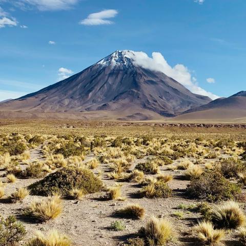 Snow-capped stratovolcano above the arid high plains with resilient flora