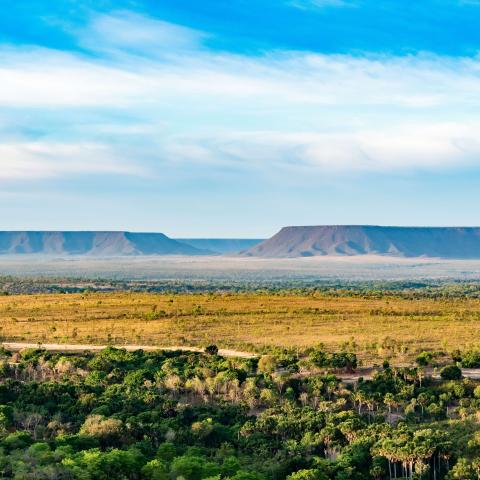 a mix of dense green vegetation and dry, flat-topped mesas that rise from the plain.