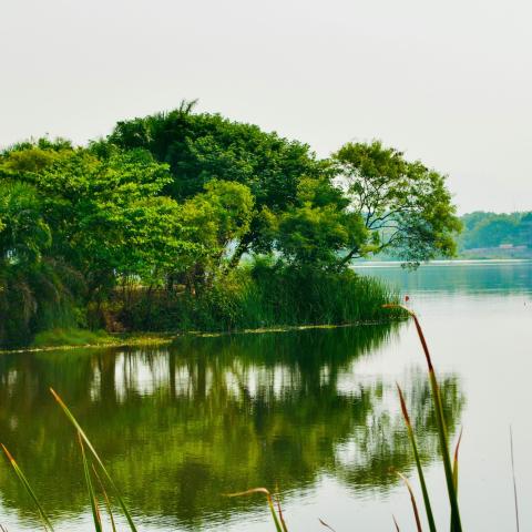 landscape in Nigeria