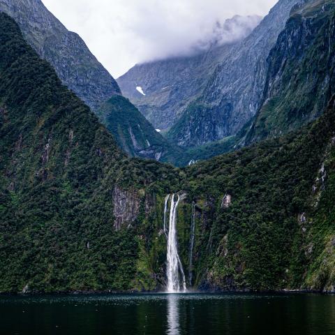 Towering cliffs cloaked in dense temperate rainforest frame a waterfall