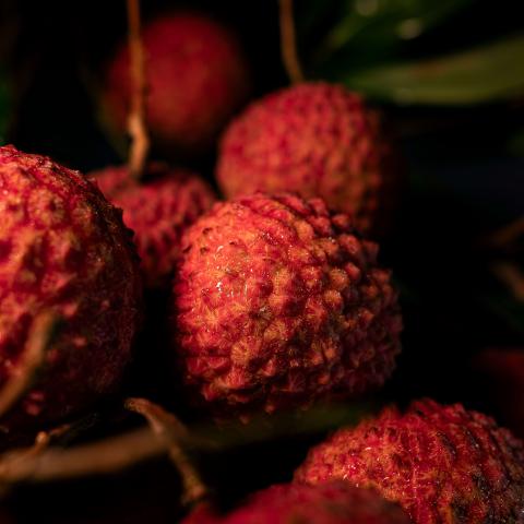 lychee fruits (Litchi chinensis) with their characteristic rough, red-pink skin glistening under soft light